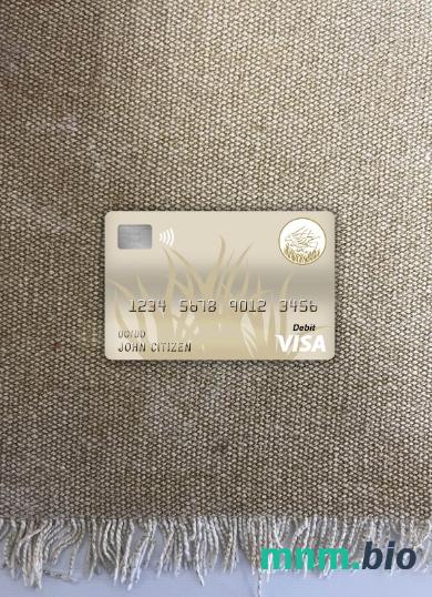 Central African republic bank of central african states (beac) bank visa obciążyć card wygląd fotograficzny skan PSD + zdjęcie